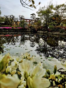 mirador Genpei Pond